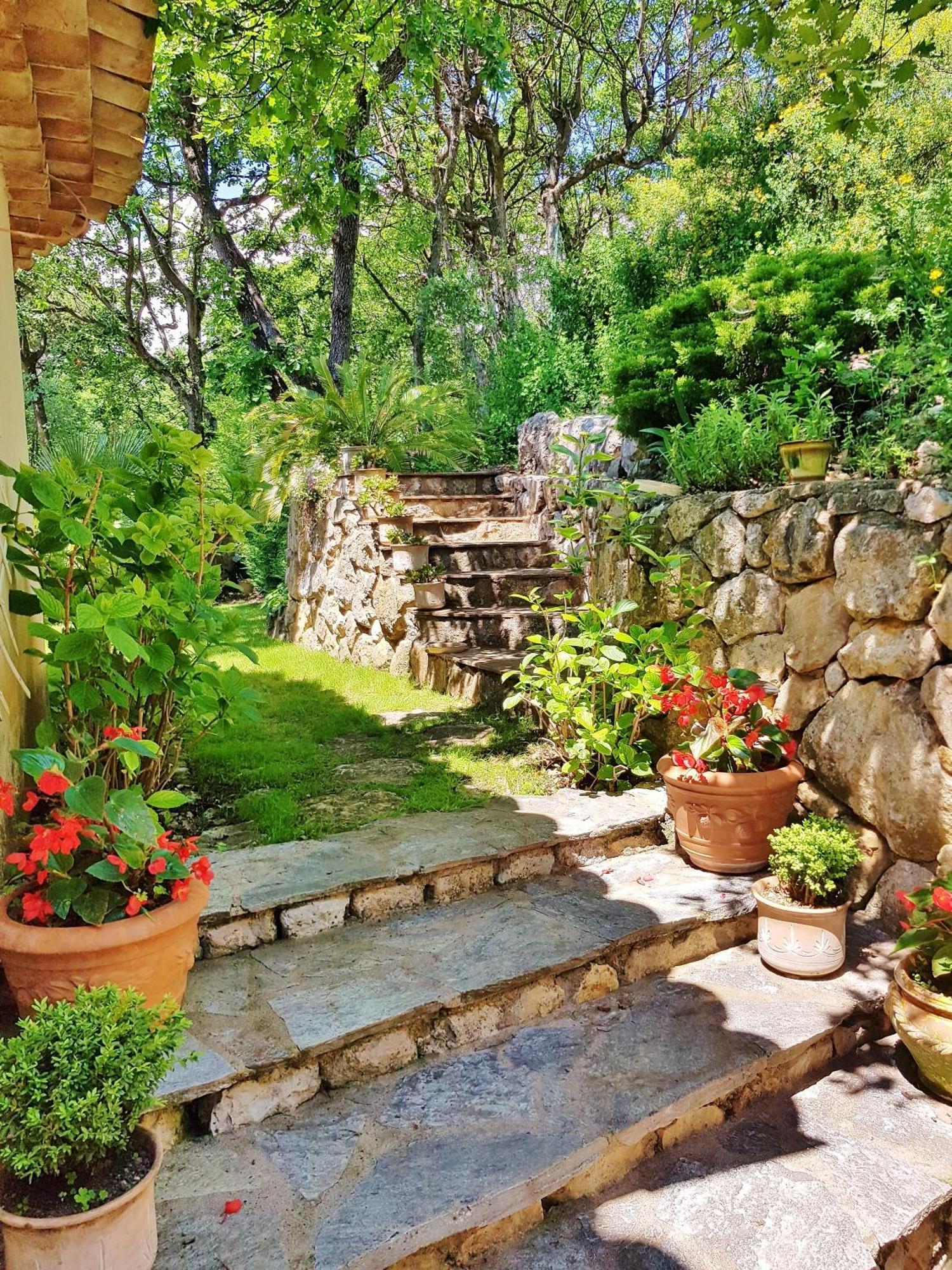 Bed and Breakfast La Bastide Des Pins Ванс Екстер'єр фото